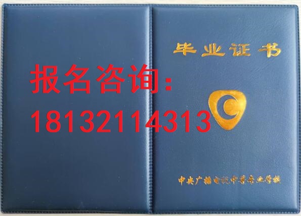 電大中?？荚囋趺崔k