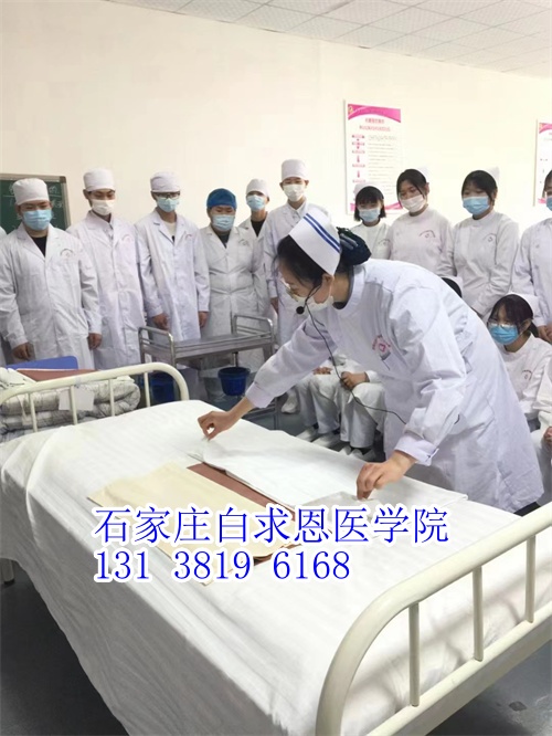 河北對口高考和對口單招有什么不同？