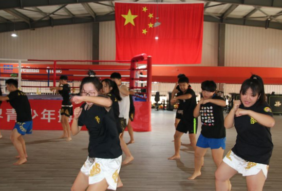 石家莊開設(shè)體育專業(yè)、武術(shù)專業(yè)的學(xué)校